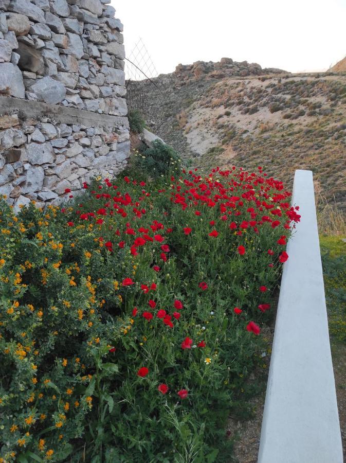 Appartement Grελια Ηομε à Naxos City Extérieur photo